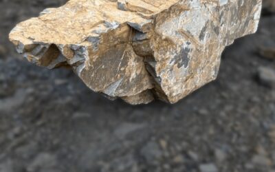 Aktuální skladové zásoby 01/2026