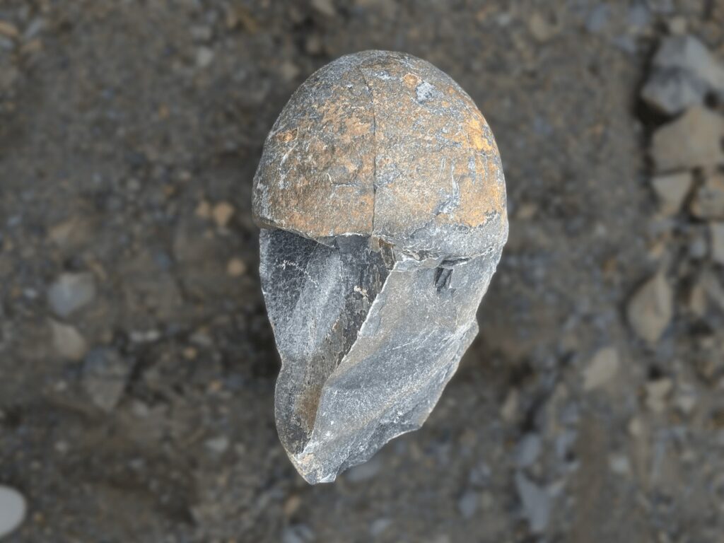 prirodni kamen olomouc kral 11